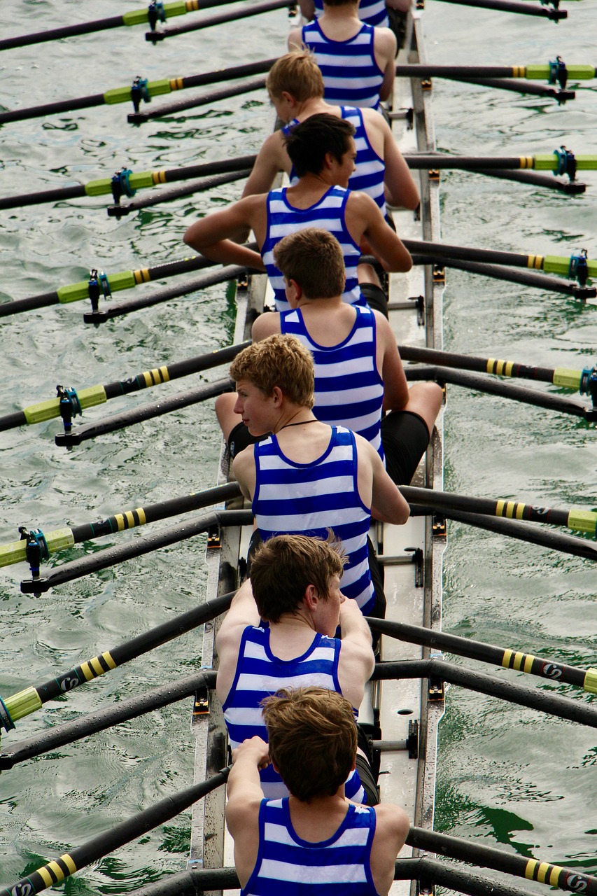 row, rowing, nature